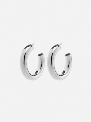 Joyería Primark The Edit Fornido Hoop Earrings Mujer Gris | 4805XISPK