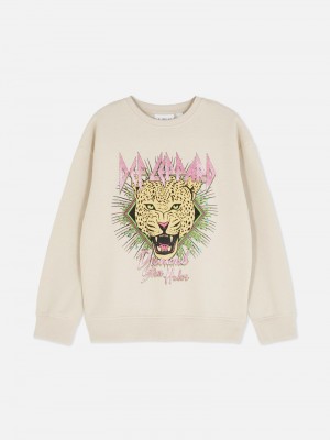 Ropa Primark Def Leppard Estampadas Sweat Niños Gris | 5932QYDKR