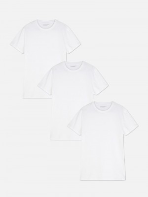 Tops Primark 3Pack Crew Neck Base Hombre Blancas | 0349MBTCV