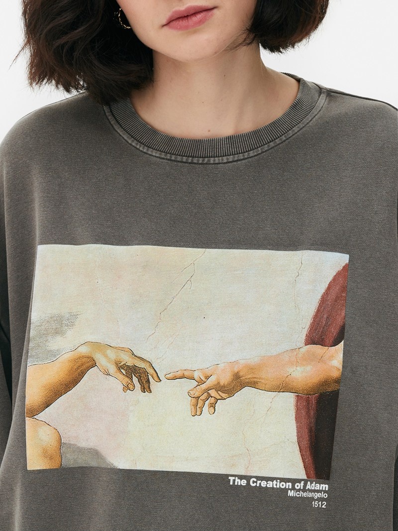 Sudaderas Primark Michelangelo Printed Sweat Mujer Gris | 0298GQAND