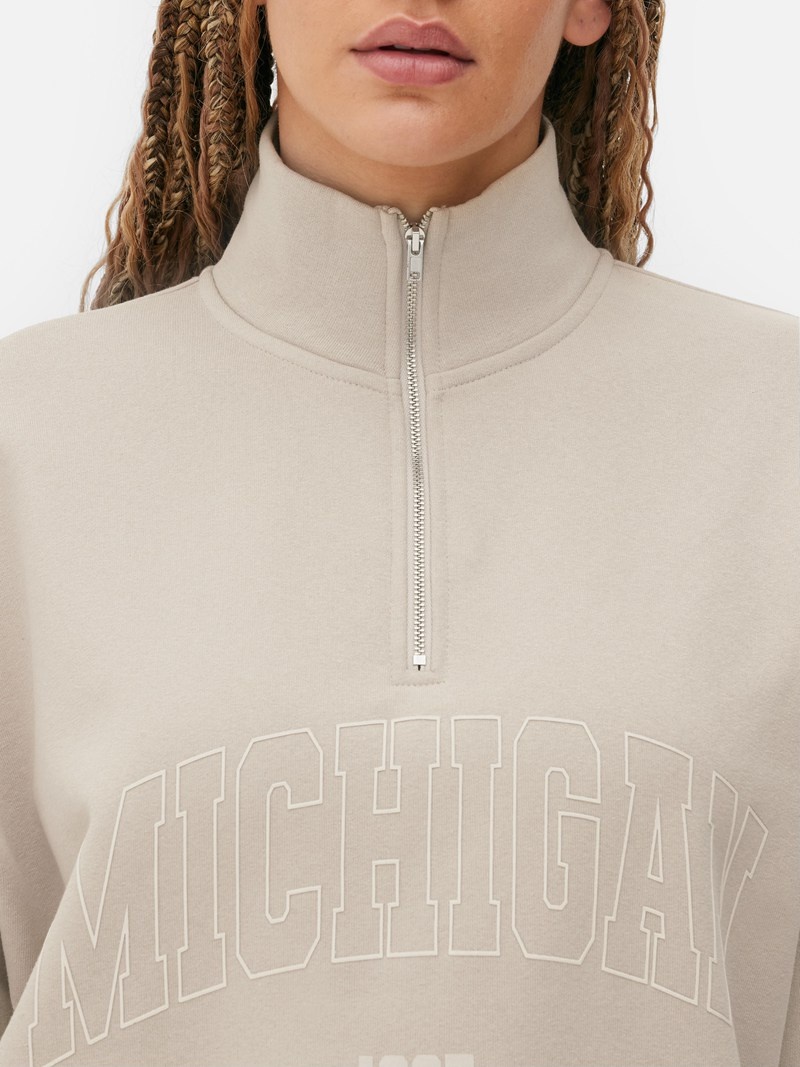 Sudaderas Primark Michigan Funnel Neck Sweat Mujer Gris | 6238LXZPJ