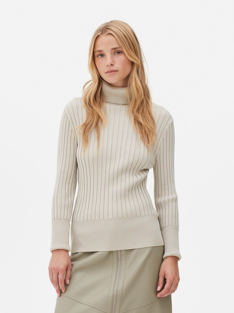 Winter Primark Viscose Rich Turtleneck Mujer Gris | 6452ZIMSQ